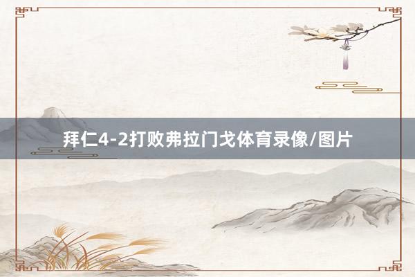 拜仁4-2打败弗拉门戈体育录像/图片